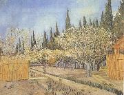 Vincent Van Gogh Orchard in Blossom,Bordered by Cypresses (nn04) USA oil painting reproduction
